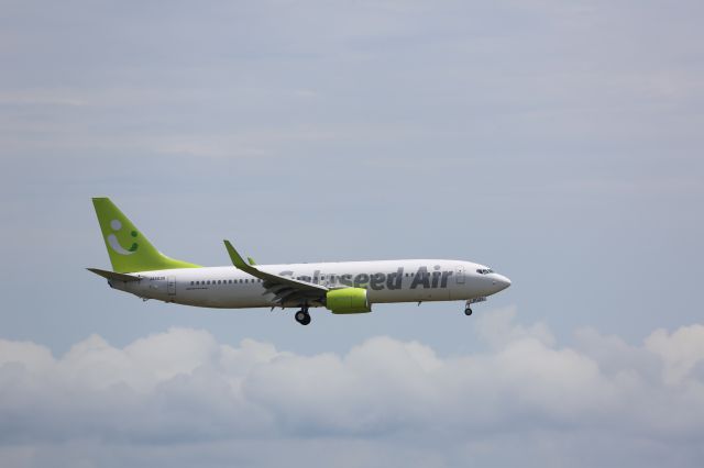 Boeing 737-800 (JA803X)