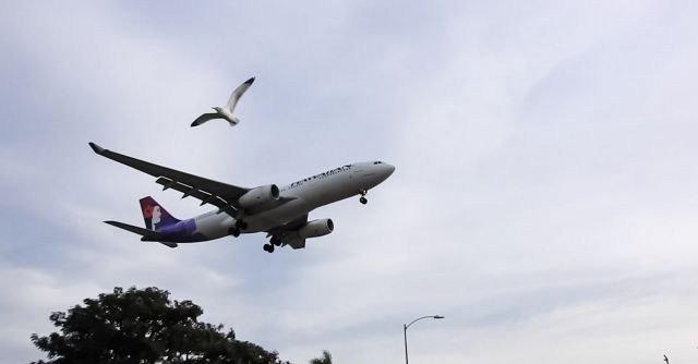 Airbus A330-300 (N389HA)