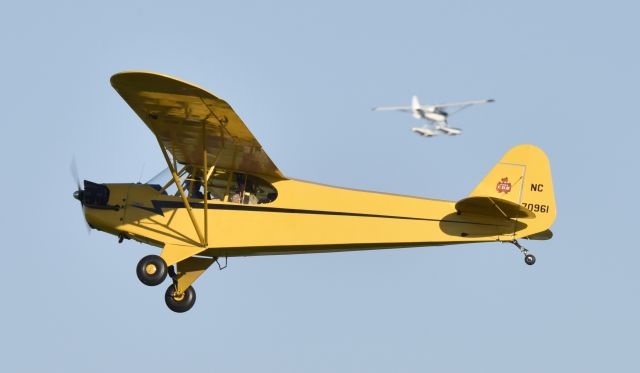 Piper NE Cub (N70961) - Airventure 2017