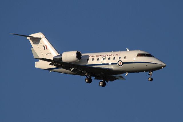 Canadair Challenger (A37003) - Royal Australian Air Force Challenger