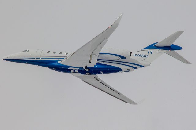 Cessna Citation X (N2828B) - A slick looking Citation X departing Eagle. 6 Feb 2021.