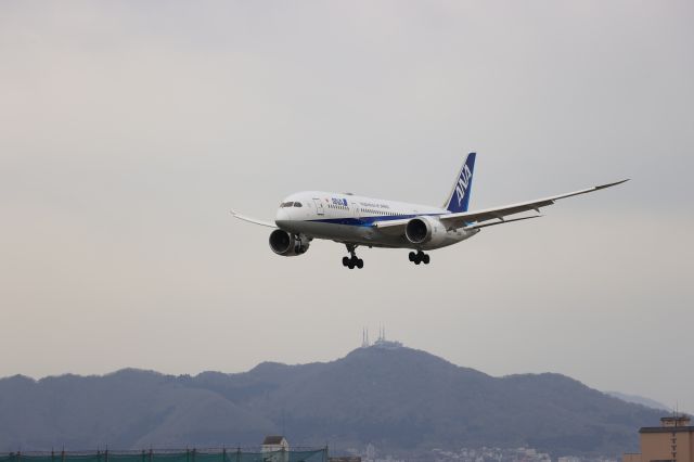 Boeing 787-8 (JA831A) - May 5th 2021:HND-HKD.