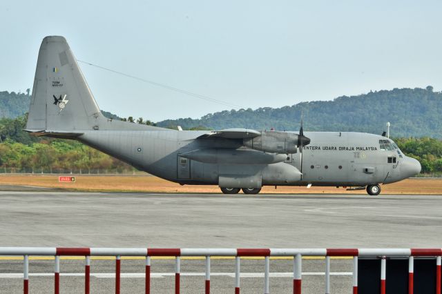 Lockheed C-130 Hercules (M3007)