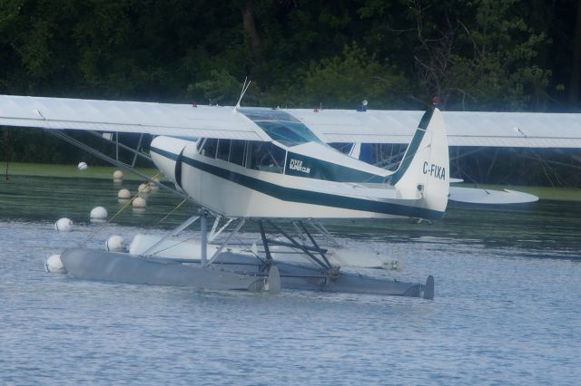 Piper L-21 Super Cub (C-FIXA)