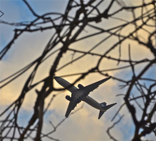 Boeing 737-700 — - On finals into MMMX