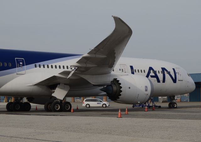 Boeing 787-9 Dreamliner (CC-BGA) - LAN 789 Dreamliner side shot