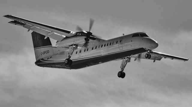 de Havilland Dash 8-300 (C-GFCD)