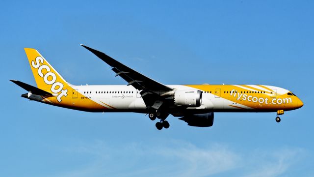 Boeing 787-9 Dreamliner (9V-OJH) - Boeing 787-9 cn 37129-695. Scoot 9V-OJH name Fernweh, final rwy 21 YPPH 10 Oct 2020