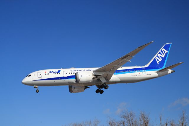 Boeing 787-8 (JA819A) - January 26th 2020:HND-HKD.