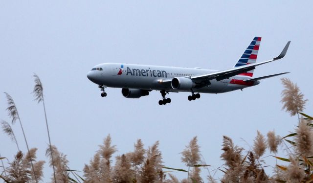 BOEING 767-300 (N350AN) - On final is this 2003 American Airlines Boeing 767-323 in the Autumn of 2019. One of the many variety of Sea Oats can also be seen in the photo.