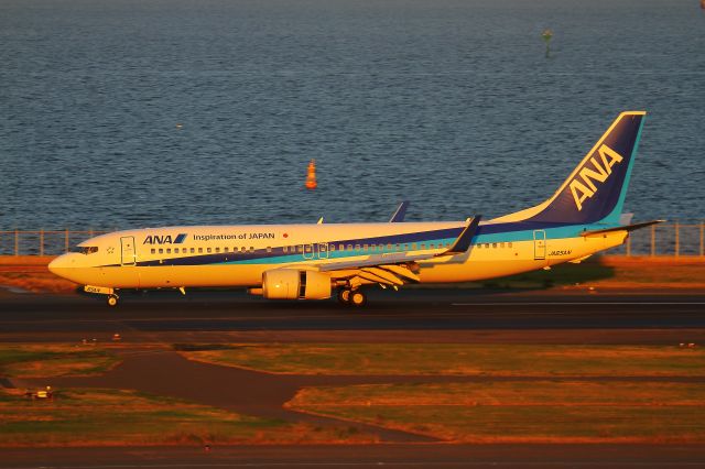 Boeing 737-800 (JA65AN)