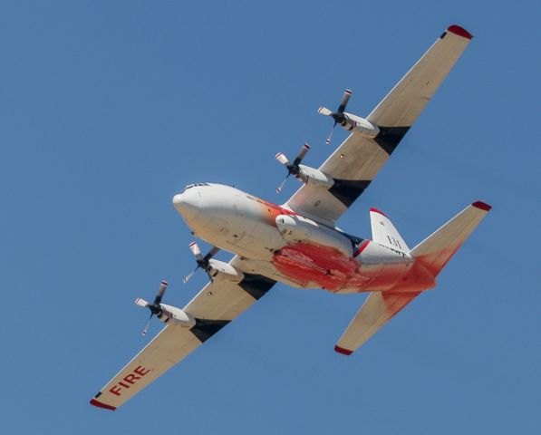 Lockheed C-130 Hercules (N130FF)