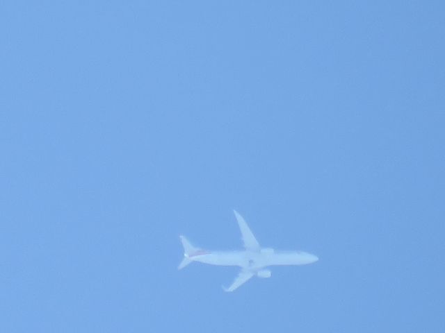Boeing 737-800 (N319PG)