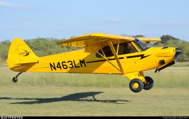 Piper L-21 Super Cub (N463LM) - Carbon Cub