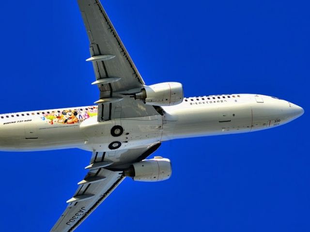 Boeing 737-800 (JA330J) - 2013 - Disney Tokyo support