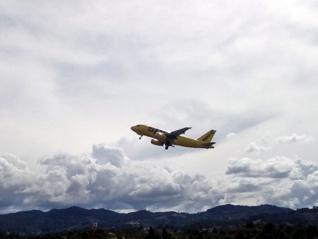 Airbus A319 (N533NK)