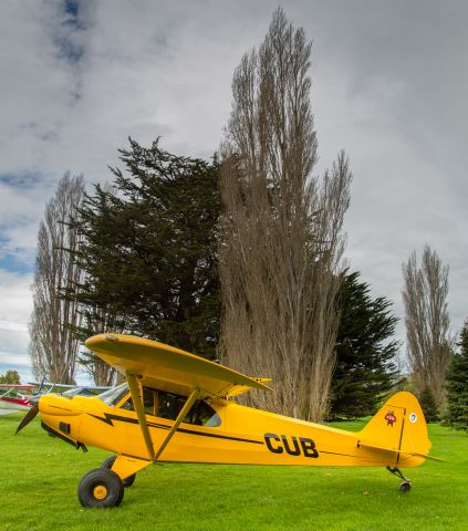 Piper L-18B Cub Special (ZK-CUB)