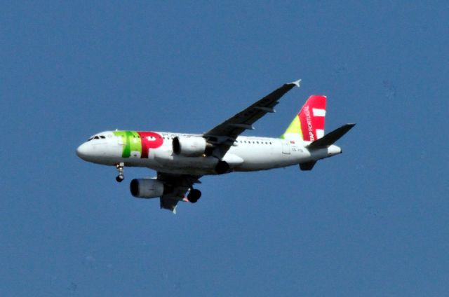 Airbus A319 (CS-TTD) - 2008