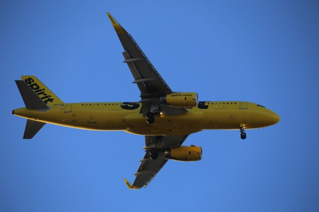 Airbus A320 (N624NK)