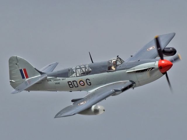 FAIREY Firefly (C-GBDG)