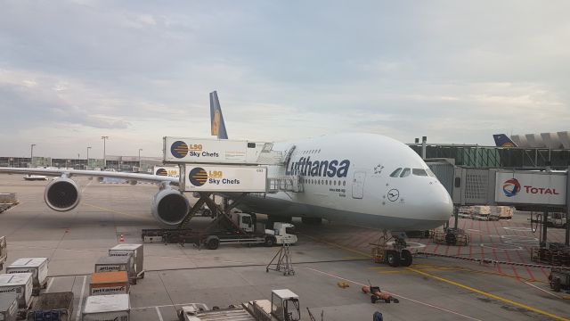 Airbus A380-800 (D-AIMF) - Lufthansa Zürich; terminal 1 A gates