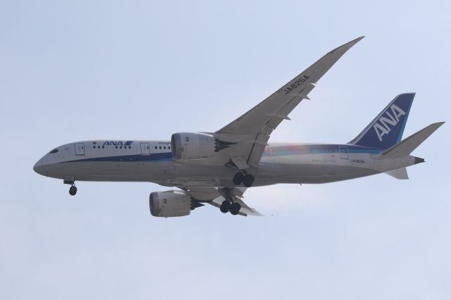 Boeing 787-8 (JA825A) - 03 August 2016:HND-HKD.
