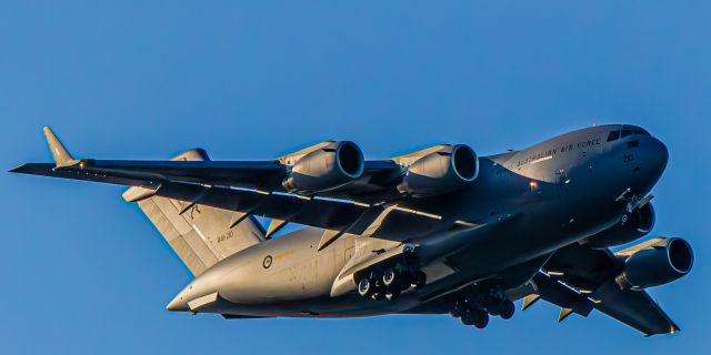 Boeing Globemaster III (A41210)