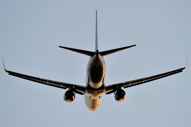 Boeing 737-800 (JA58AN)