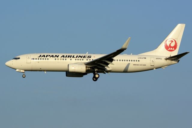 Boeing 737-800 (JA315J)