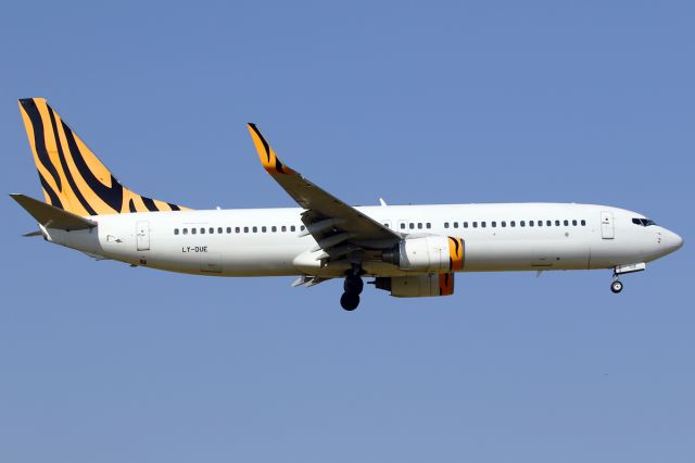 Boeing 737-800 (LY-DUE)