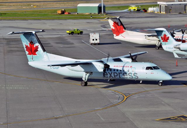 de Havilland Dash 8-300 (C-GABP)