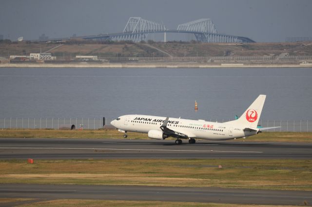 Boeing 737-800 (JA306J) - November 18th 2018:HND-MMB.