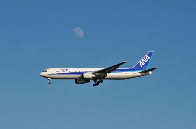 BOEING 767-300 (JA8579) - 2011/1/16br /Fly me to the moon~♪