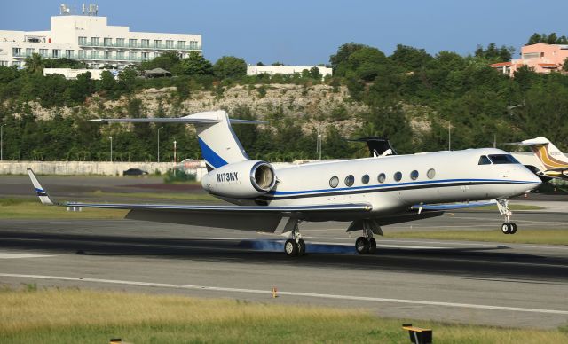 Gulfstream Aerospace Gulfstream V (N173NY)