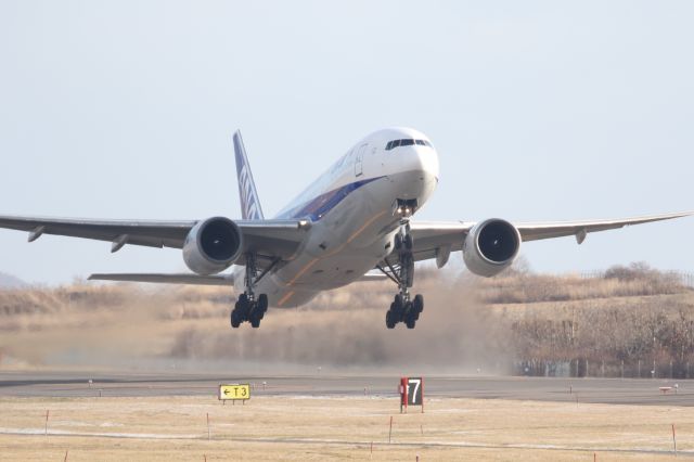 Boeing 777-200 (JA8198) - 19 December 2015:HKD-HND.