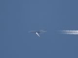 N311RF thumbnail