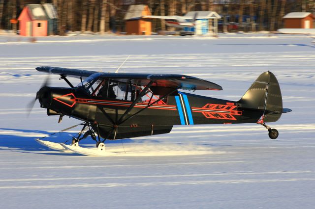 Piper L-21 Super Cub (N5830C)