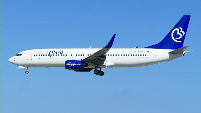 Boeing 737-800 (9H-HLY) - On landing RW31