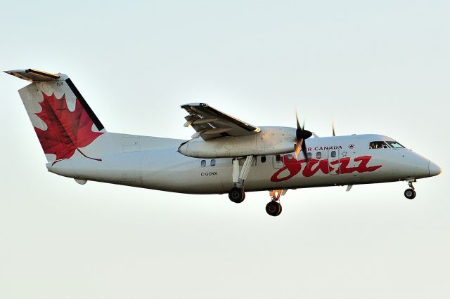 de Havilland Dash 8-100 (C-GONX) - Arriving from YXU/YXU under cloudless evening sky.