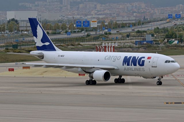 Airbus A300F4-600 (TC-MCG)