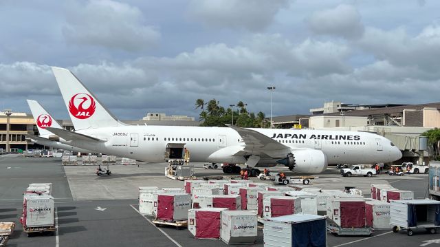 Boeing 787-9 Dreamliner (JA869J) - At Honolulu Airport Parked at the Gate. Seems to be Gate D1.