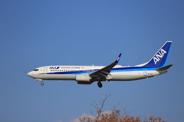 Boeing 737-800 (JA71AN) - December 12th 2020:ITM-HKD.