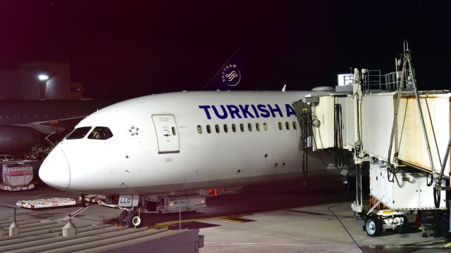 Boeing 787-9 Dreamliner (TC-LLG) - Turkish Airlines Boeing 787-9 Dreamliner TC-LLG in Atlanta 