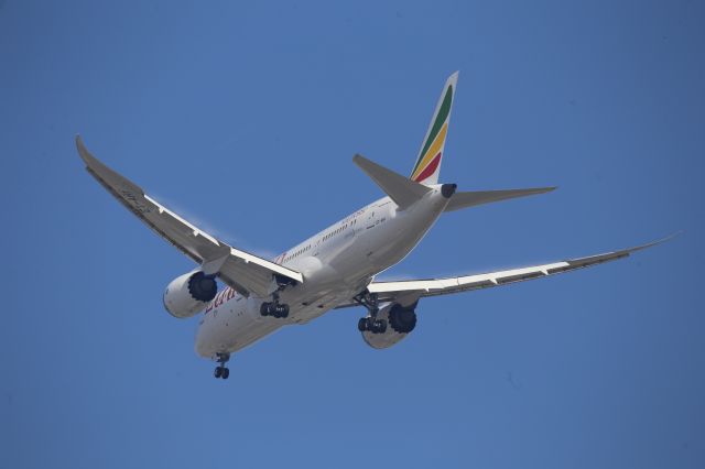 Boeing 787-8 (ET-ARF)