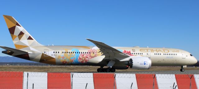 Boeing 787-9 Dreamliner (A6-BLJ) - Punto avvistamento aerei sud aeroporto br /raccordo A