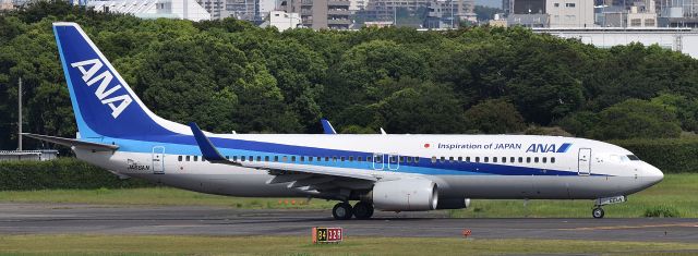 Boeing 737-800 (JA66AN)