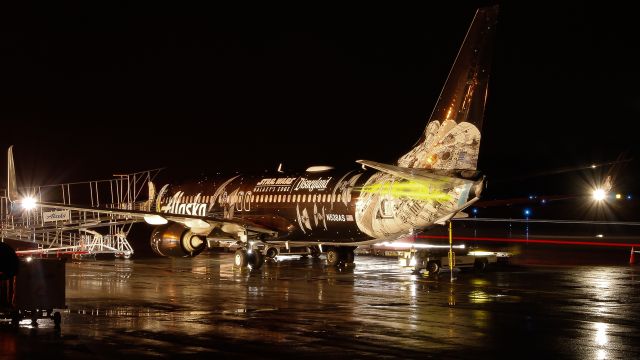 Boeing 737-800 (N538AS) - Alaska Airlines ASA177/AS177 (codeshare: Hawaiian HA6115) from Anchorage (PANC/ANC) sits at Gate 1 as ground crews work around it. This is Alaska's newest 737-890 (del. 5/22/12) and was the last aircraft to wear the Icicles livery.br /Reg: N538ASbr /Type: Boeing 737-890--B738--73Hbr /MSN: 41188br /Codeshare: HA6115br /Photo date: 12-6-24br /Upload date: 12-9-24