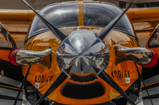 Quest Kodiak —