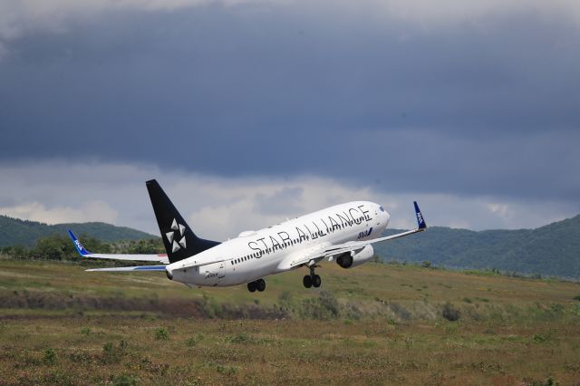 Boeing 737-800 (JA51AN) - June 20th 2020:HKD-ITM.