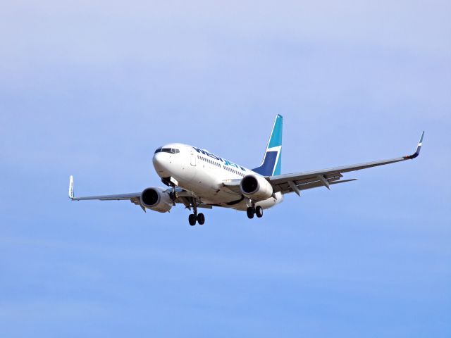 Boeing 737-700 (C-FWAD) - Spotting